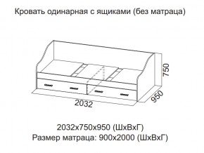 Кровать одинарная с ящиками (Без матраца 0,9*2,0) в Камышлове - kamyshlov.магазин96.com | фото