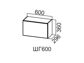 ШГ600/360 Шкаф навесной 600/360 (горизонт.) в Камышлове - kamyshlov.магазин96.com | фото