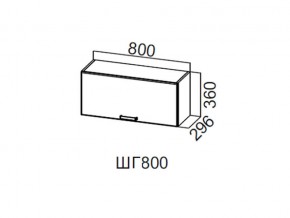 ШГ800/360 Шкаф навесной 800/360 (горизонт.) в Камышлове - kamyshlov.магазин96.com | фото