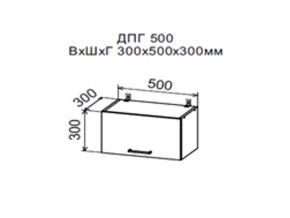 Шкаф верхний ДПГ500 горизонтальный в Камышлове - kamyshlov.магазин96.com | фото