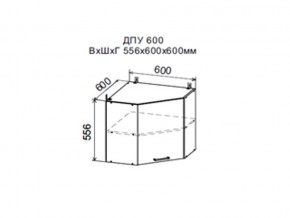 Шкаф верхний ДПУ600 угловой в Камышлове - kamyshlov.магазин96.com | фото